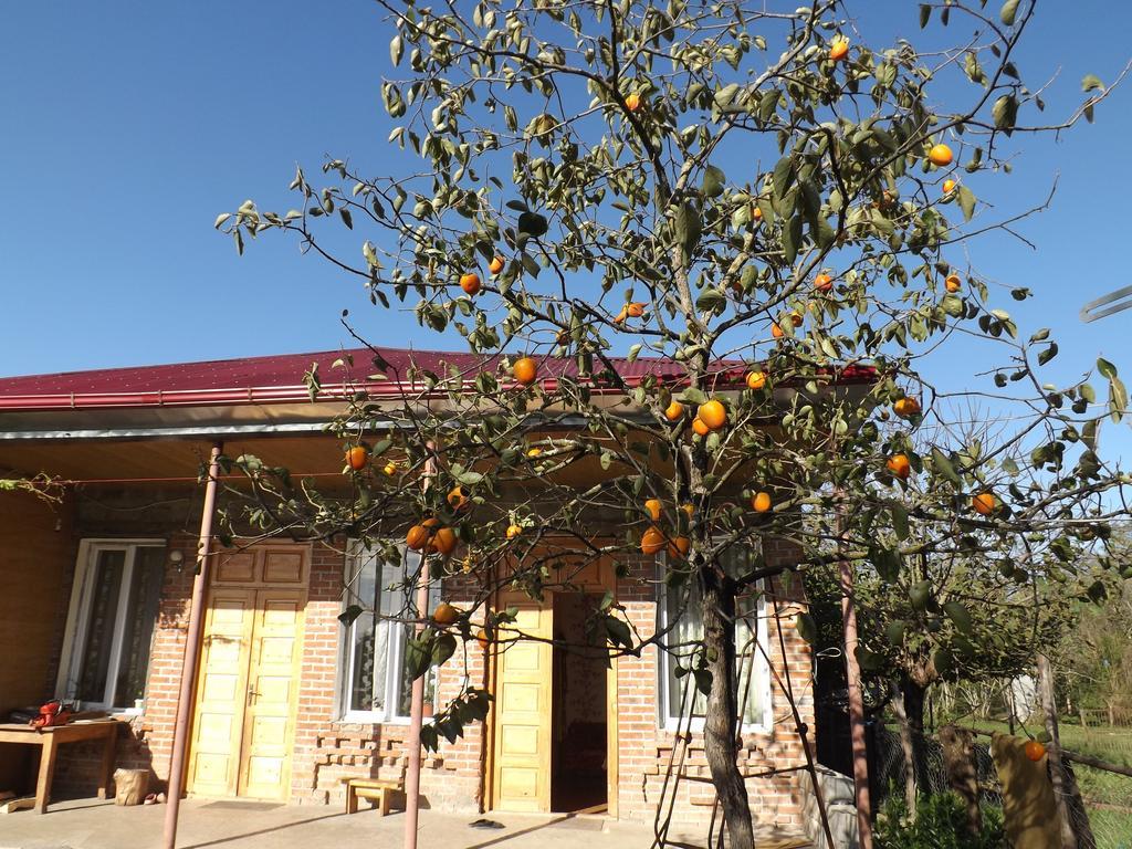 מלון מרטווילי Genacvale In Bandza מראה חיצוני תמונה